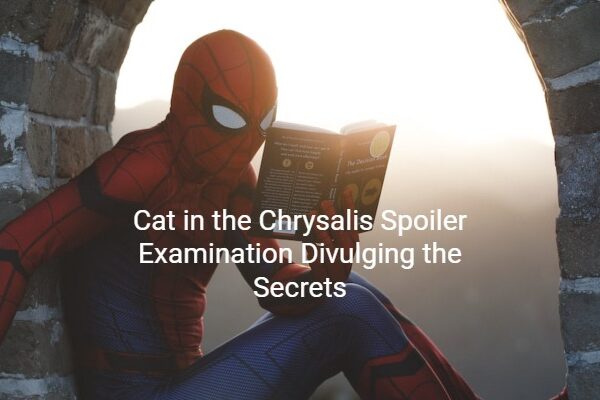 Cat in the Chrysalis Spoiler Examination Divulging the Secrets