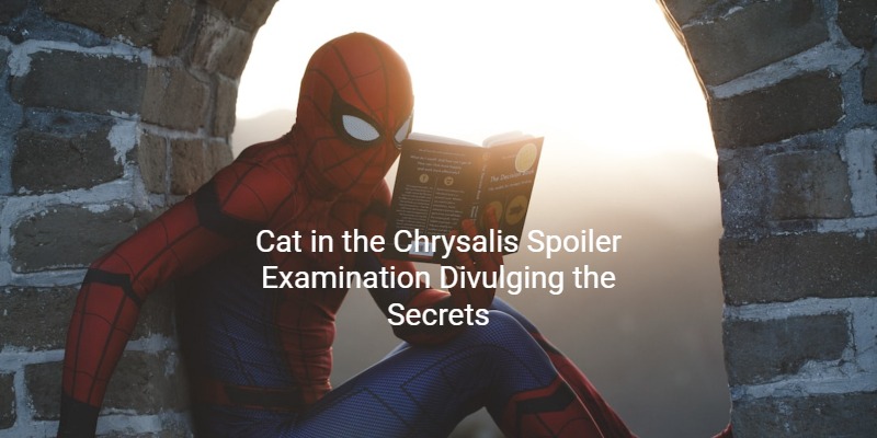 Cat in the Chrysalis Spoiler Examination Divulging the Secrets