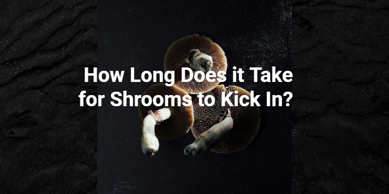 how long does it take for shrooms to kick in