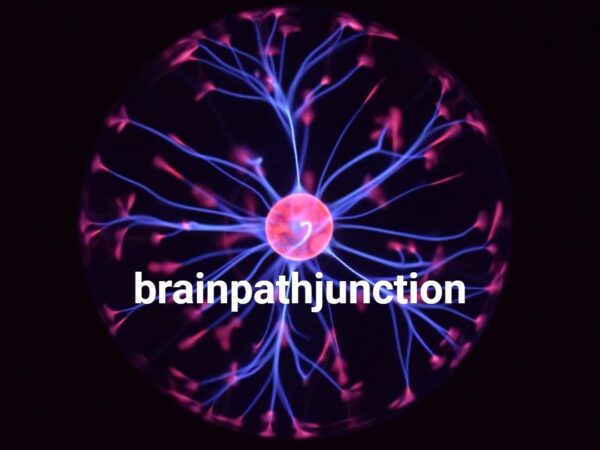 brainpathjunction