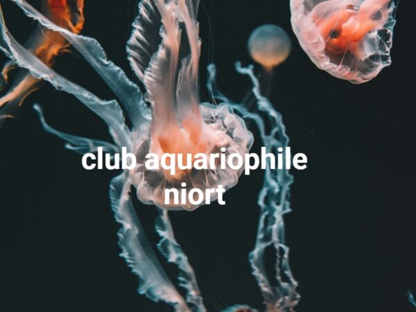 club aquariophile niort