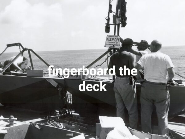 fingerboard the deck