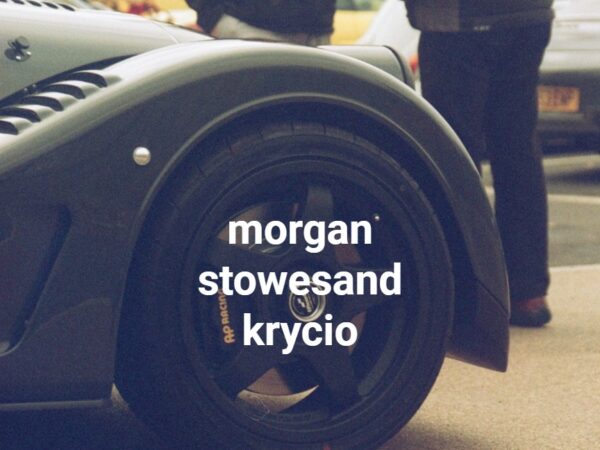 morgan stowesand krycio